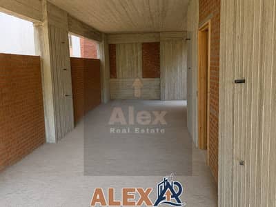 Commercial Building for Rent in Sporting, Alexandria - WhatsApp Image 2026-06-25 at 3.43. 06 PM - Copy. jpeg Commercial Building for Rent in Sporting, Alexandria - WhatsApp Image 2026-06-25 at 3.43. 06 PM - Copy. jpeg
