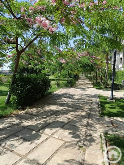 3 Bedroom Flat for Sale in Madinaty, Cairo - 1000067423. jpg