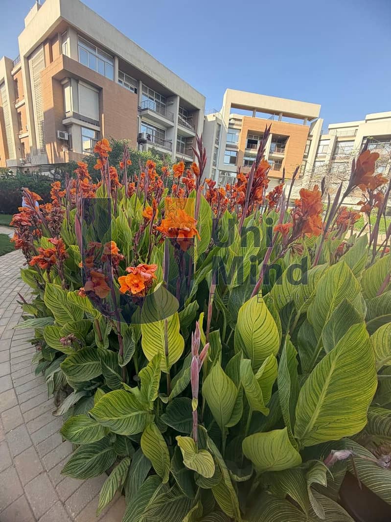 Luxury duplex for sale on Suez Road—available for cash purchase or via a monthly installment plan of 128,000 over 9 years with a minimal down payment. – pohled 4