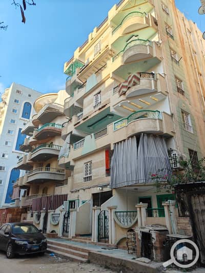 فلیٹ 2 غرفة نوم للبيع في النخيل، الإسكندرية - 1000603752. jpg