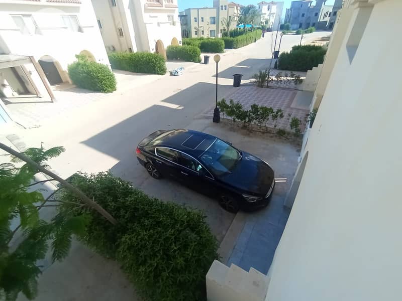 7 455741. jpg
