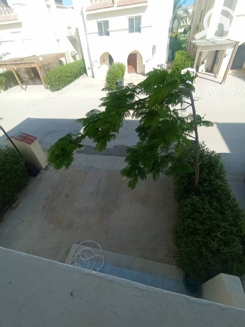 26 455756. jpg