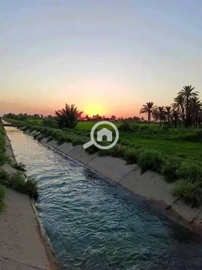 Agricultural Land for Sale in Al Nubariyah, Beheira - FB_IMG_1782421911644. jpg