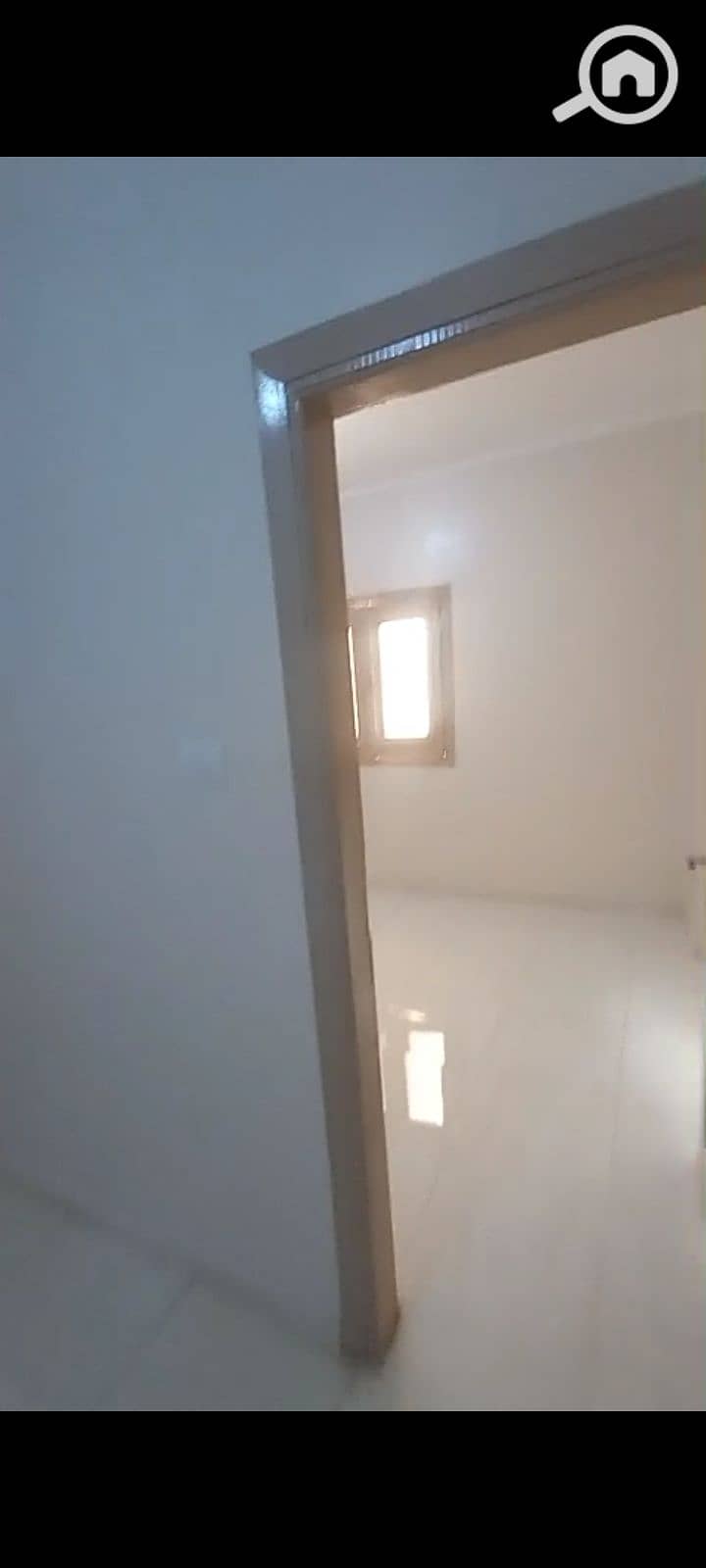 7 1000232647. jpg