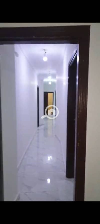 3 Bedroom Flat for Rent in Maadi, Cairo - 1000363308. jpg 3 Bedroom Flat for Rent in Maadi, Cairo - 1000363308. jpg