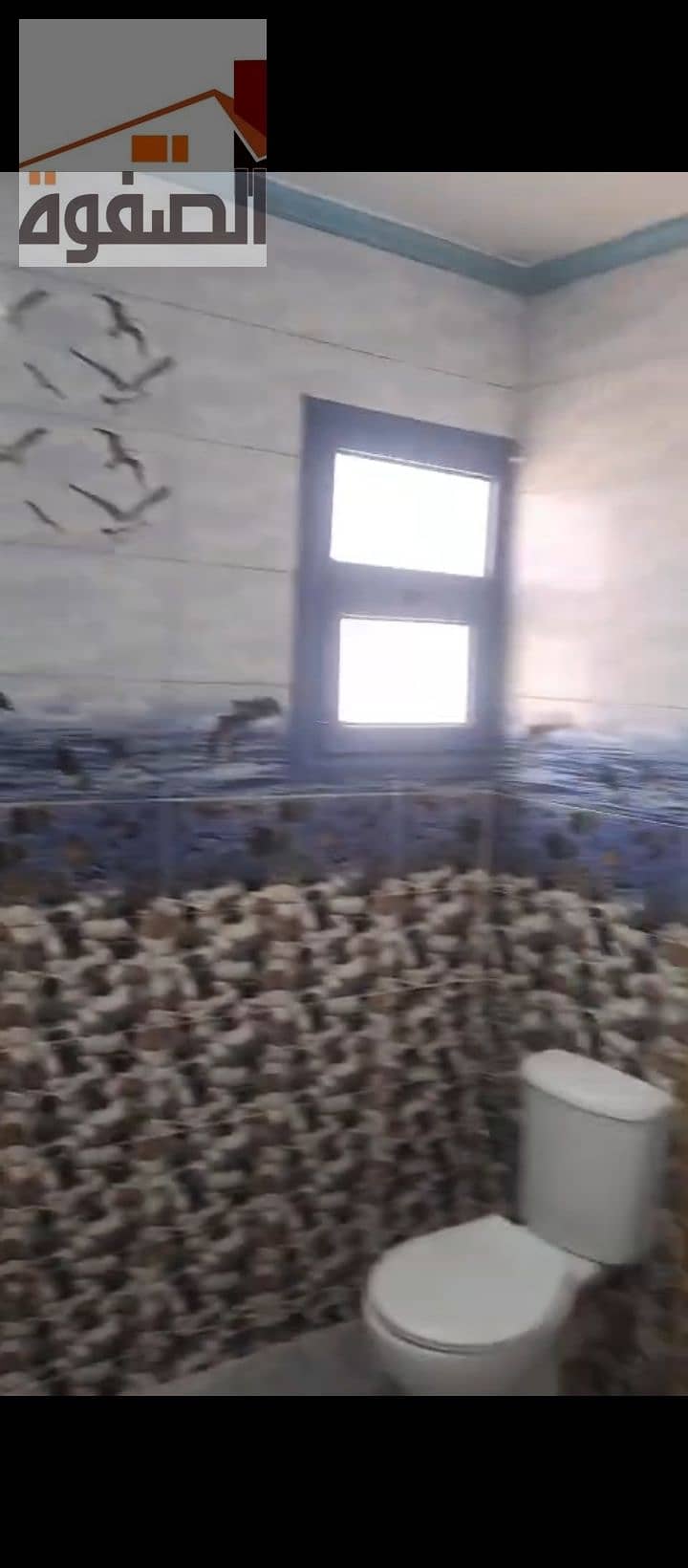 7 1000222380. jpg