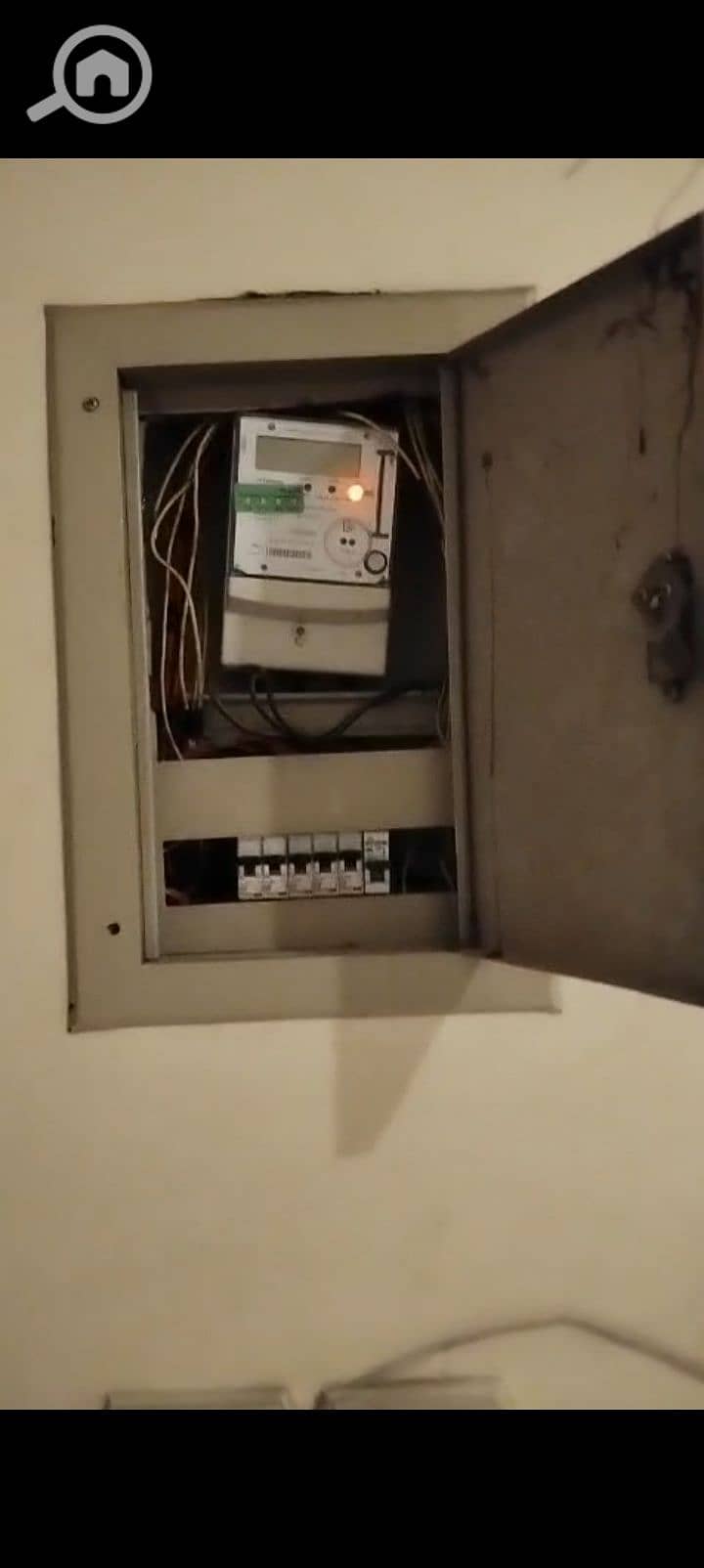 2 1000363453. jpg