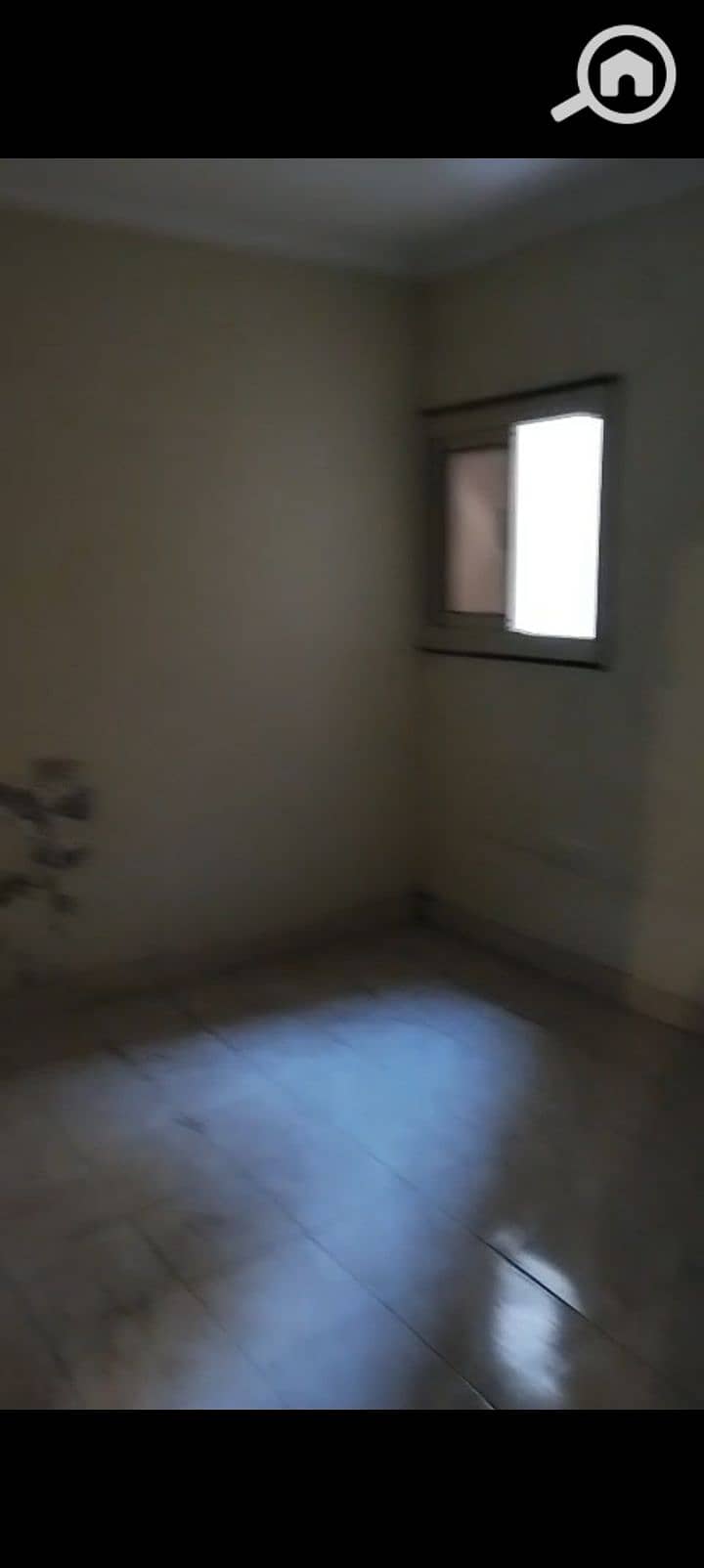 11 1000363464. jpg