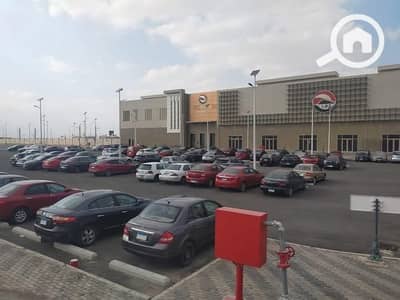 Land for Sale in Badr City, Cairo - WhatsApp Image 2026-06-24 at 11.30. 52 AM. jpeg