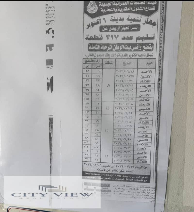 11 355662. jpg