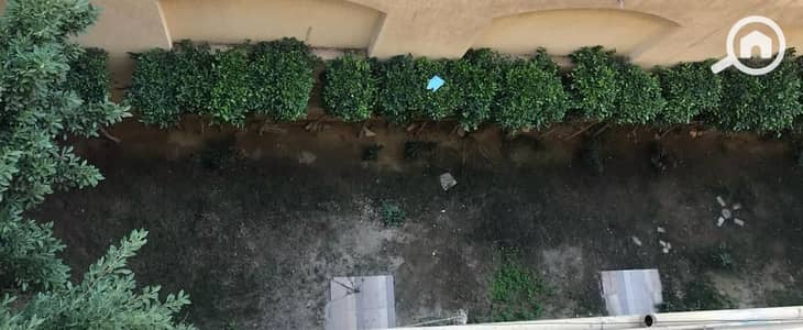 3 Bedroom Apartment for Rent in New Cairo, Cairo - WhatsApp Image 2026-06-25 at 5.17. 01 AM. jpeg 3 Bedroom Apartment for Rent in New Cairo, Cairo - WhatsApp Image 2026-06-25 at 5.17. 01 AM. jpeg
