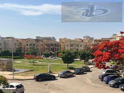 فلیٹ 3 غرف نوم للبيع في القاهرة الجديدة، القاهرة - 72bfdcfb-64a3-4c3b-981a-d8d26cf70852. jpeg فلیٹ 3 غرف نوم للبيع في القاهرة الجديدة، القاهرة - 72bfdcfb-64a3-4c3b-981a-d8d26cf70852. jpeg