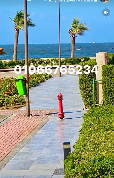 2 Bedroom Chalet for Rent in Ganoub District, Port Said - شاليه vipصف اول عالبحرمباشروالبول الرئيسي ارضي بجنينه ٢غرفه٢حمام مطبخ 2 Bedroom Chalet for Rent in Ganoub District, Port Said - شاليه vipصف اول عالبحرمباشروالبول الرئيسي ارضي بجنينه ٢غرفه٢حمام مطبخ