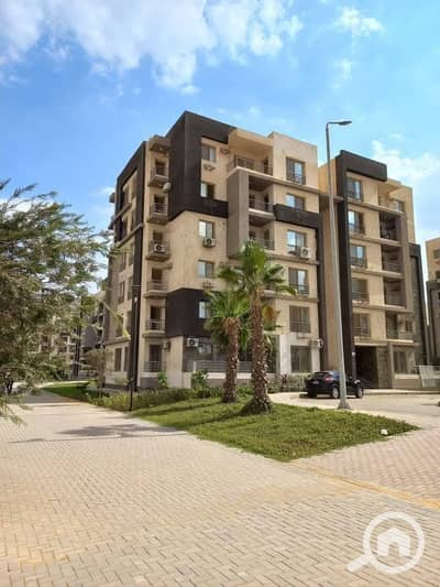 3 Bedroom Apartment for Sale in Sheikh Zayed, Giza - 658311558_810729472071807_129203332726025180_n. jpg 3 Bedroom Apartment for Sale in Sheikh Zayed, Giza - 658311558_810729472071807_129203332726025180_n. jpg