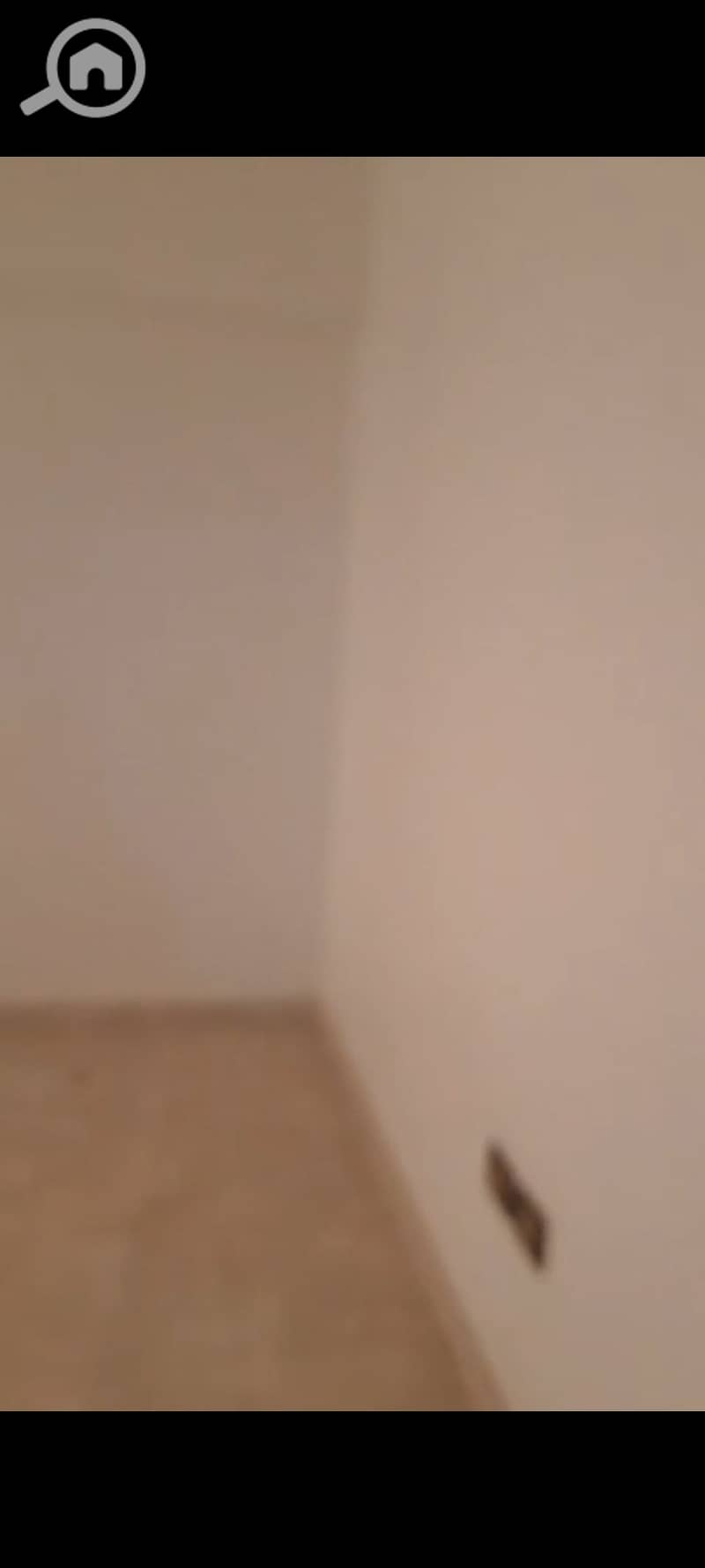 15 1001485939. jpg