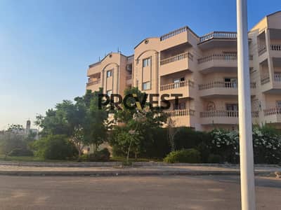 3 Bedroom Apartment for Sale in Shorouk City, Cairo - 1000343664. jpg