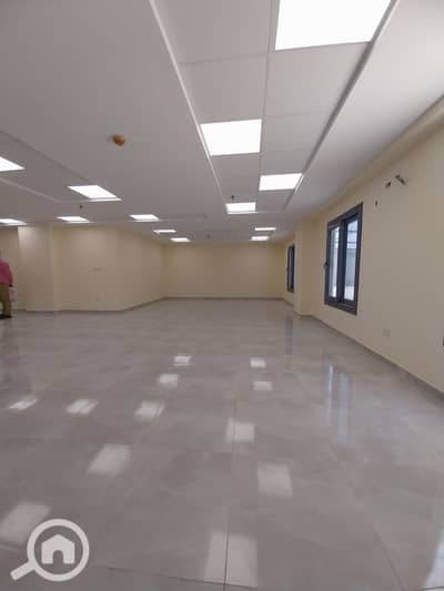 Roof for Rent in Nasr City, Cairo - 1000102004. jpg Roof for Rent in Nasr City, Cairo - 1000102004. jpg