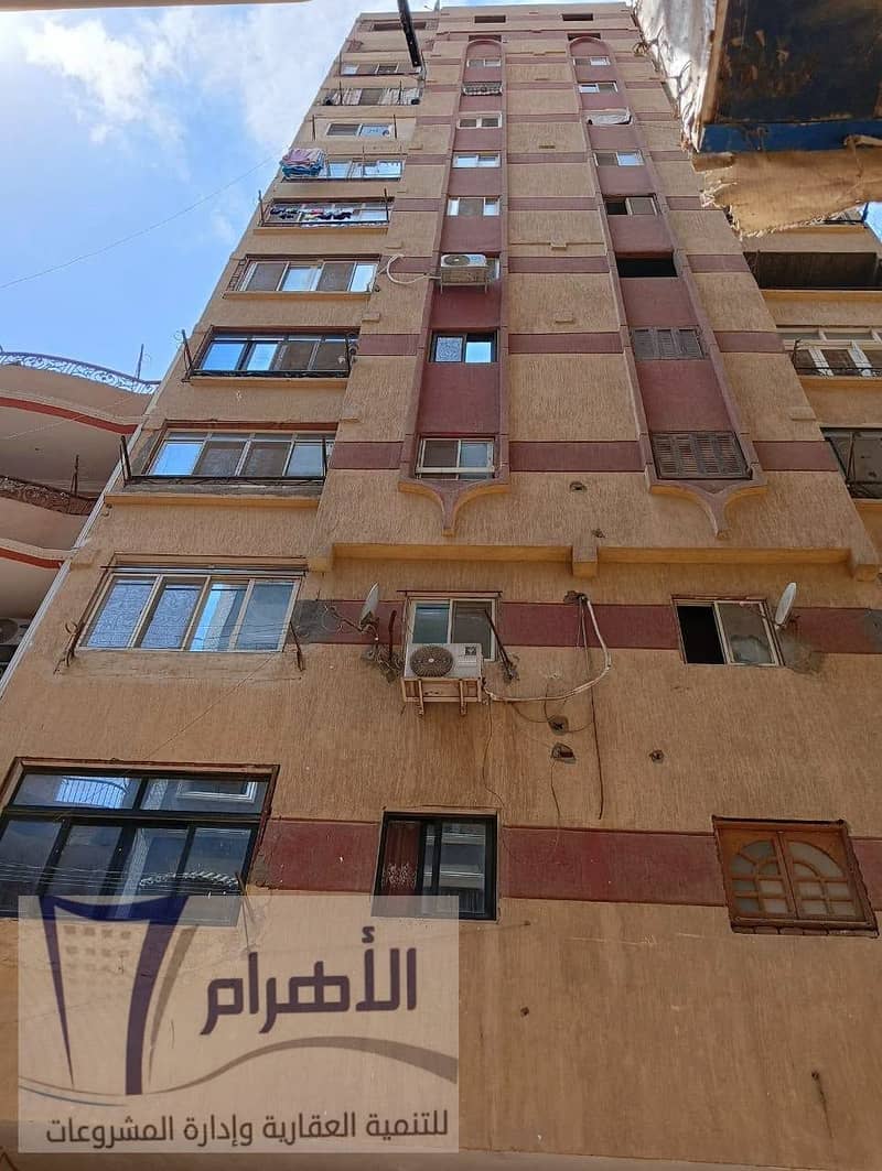 4 729644324_1053032950559108_1022723783570246506_n. jpeg