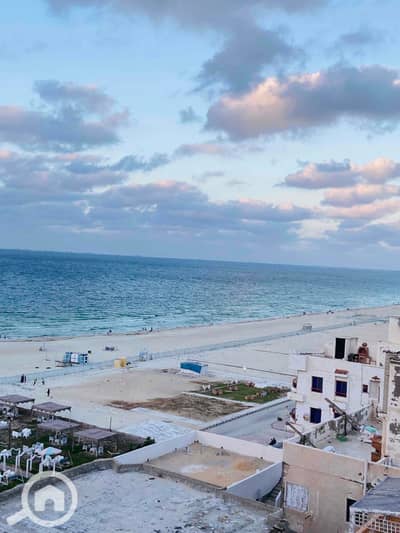 فلیٹ 3 غرف نوم للبيع في النخيل، الإسكندرية - IMG_9538. jpg فلیٹ 3 غرف نوم للبيع في النخيل، الإسكندرية - IMG_9538. jpg