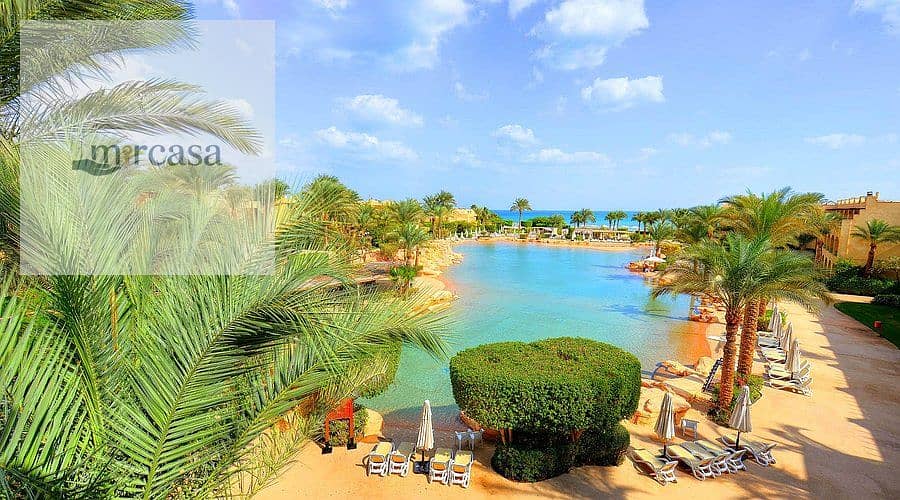 7 stella-di-mare-grand. jpg