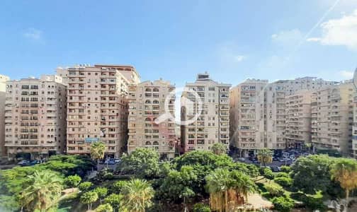 مکتب  للبيع في سموحة، الإسكندرية - 1000470241. jpg