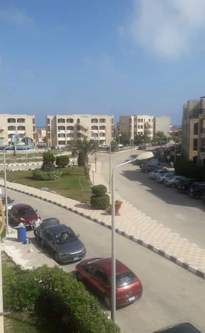 استوديو للايجار في الساحل الشمالي، مطروح - شقه ستوديو للايجار قريه ساطىء الفيروزك٣٧ استوديو للايجار في الساحل الشمالي، مطروح - شقه ستوديو للايجار قريه ساطىء الفيروزك٣٧