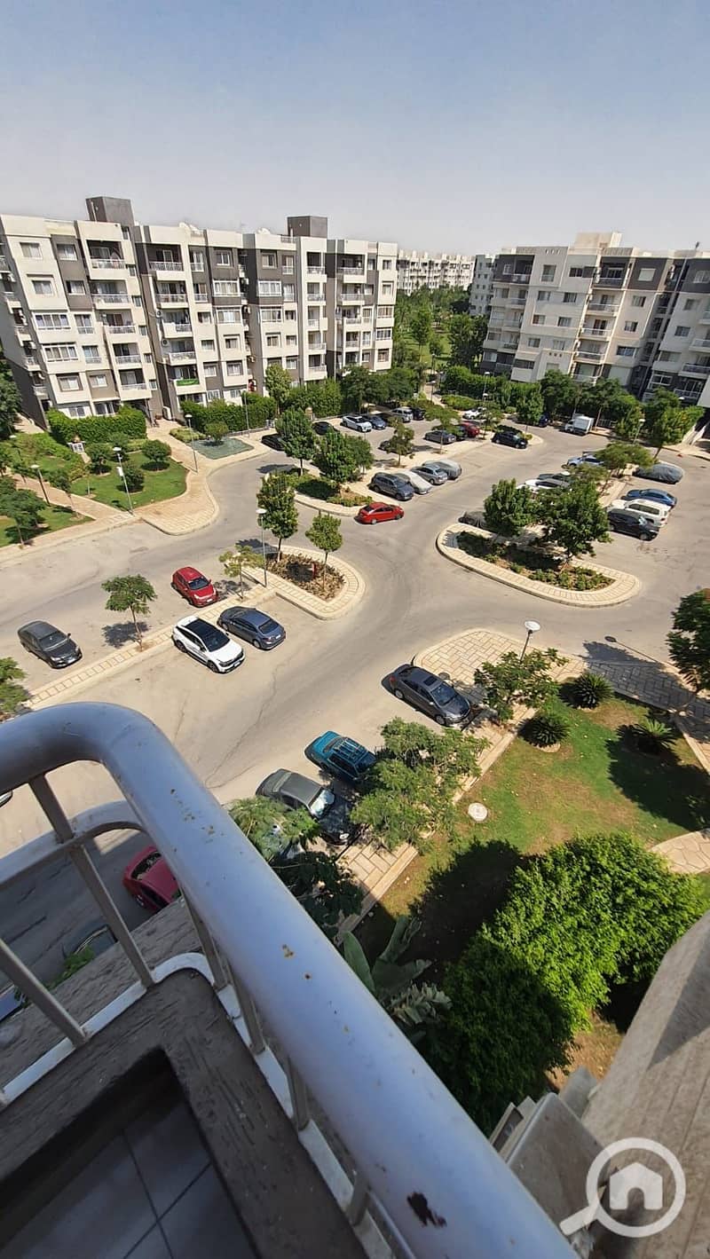 7 203299. jpg