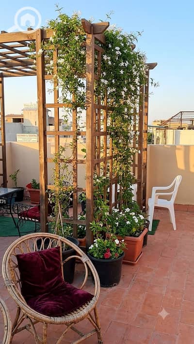 1 Bedroom Roof for Rent in 6th of October, Giza - 1000236168. png 1 Bedroom Roof for Rent in 6th of October, Giza - 1000236168. png