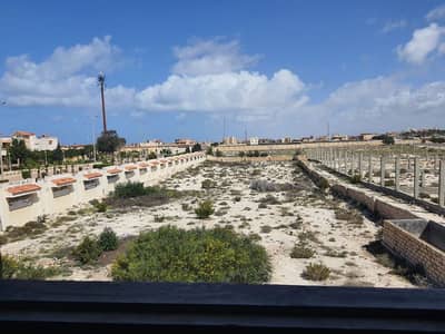 عقارات تجارية اخرى للبيع في برج العرب، الإسكندرية - أرض للبيع بحري طريق الأسكندرية مطروح الكيلو ٤٠٫٥ - برج العرب عقارات تجارية اخرى للبيع في برج العرب، الإسكندرية - أرض للبيع بحري طريق الأسكندرية مطروح الكيلو ٤٠٫٥ - برج العرب