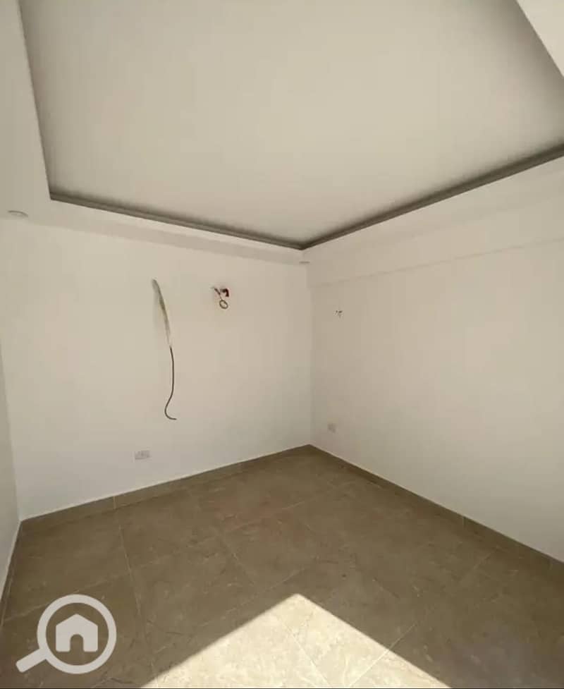 5 216835. jpg