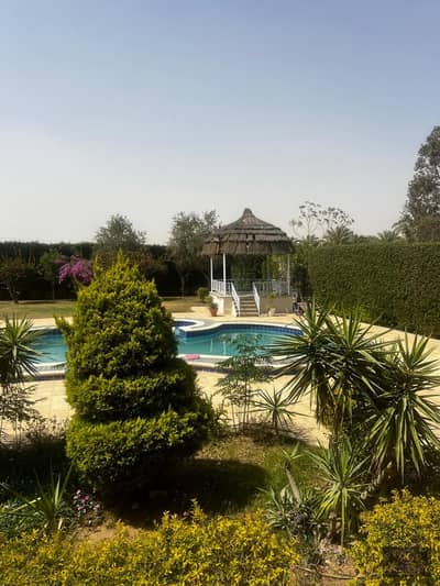 1 Bedroom Villa for Rent in Shorouk City, Cairo - 0066edf6-ecb5-45d9-bcd3-9430084eb96f. jpg
