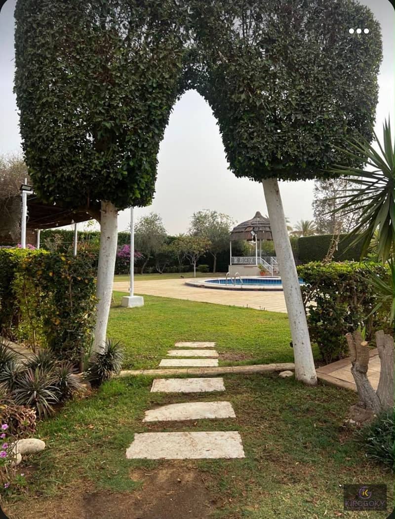 8 IMG_0090. jpg
