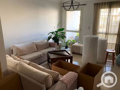 4 Bedroom Flat for Rent in New Cairo, Cairo - 1000360105. jpg