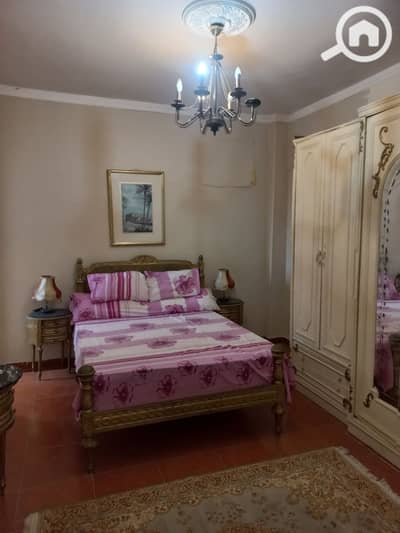 2 Bedroom Flat for Rent in Zamalek, Cairo - 1000438552. jpg 2 Bedroom Flat for Rent in Zamalek, Cairo - 1000438552. jpg