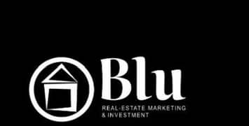 Blu Real Estate