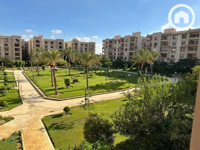4 Bedroom Flat for Rent in New Cairo, Cairo - IMG-20230813-WA0351. jpg 4 Bedroom Flat for Rent in New Cairo, Cairo - IMG-20230813-WA0351. jpg