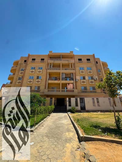 3 Bedroom Flat for Sale in Shorouk City, Cairo - WhatsApp Image 2026-06-28 at 3.00. 00 PM (1). jpeg 3 Bedroom Flat for Sale in Shorouk City, Cairo - WhatsApp Image 2026-06-28 at 3.00. 00 PM (1). jpeg
