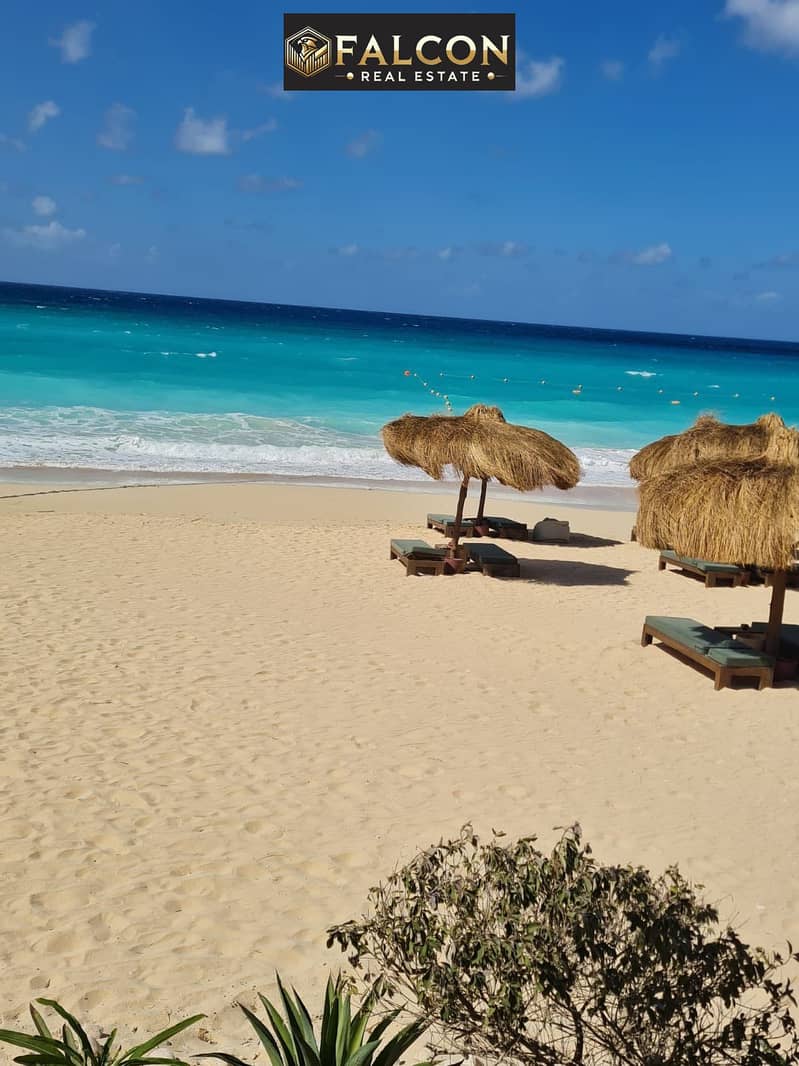 10 cb1bc573-10e1-43df-9c24-072d74b6da47. jpeg