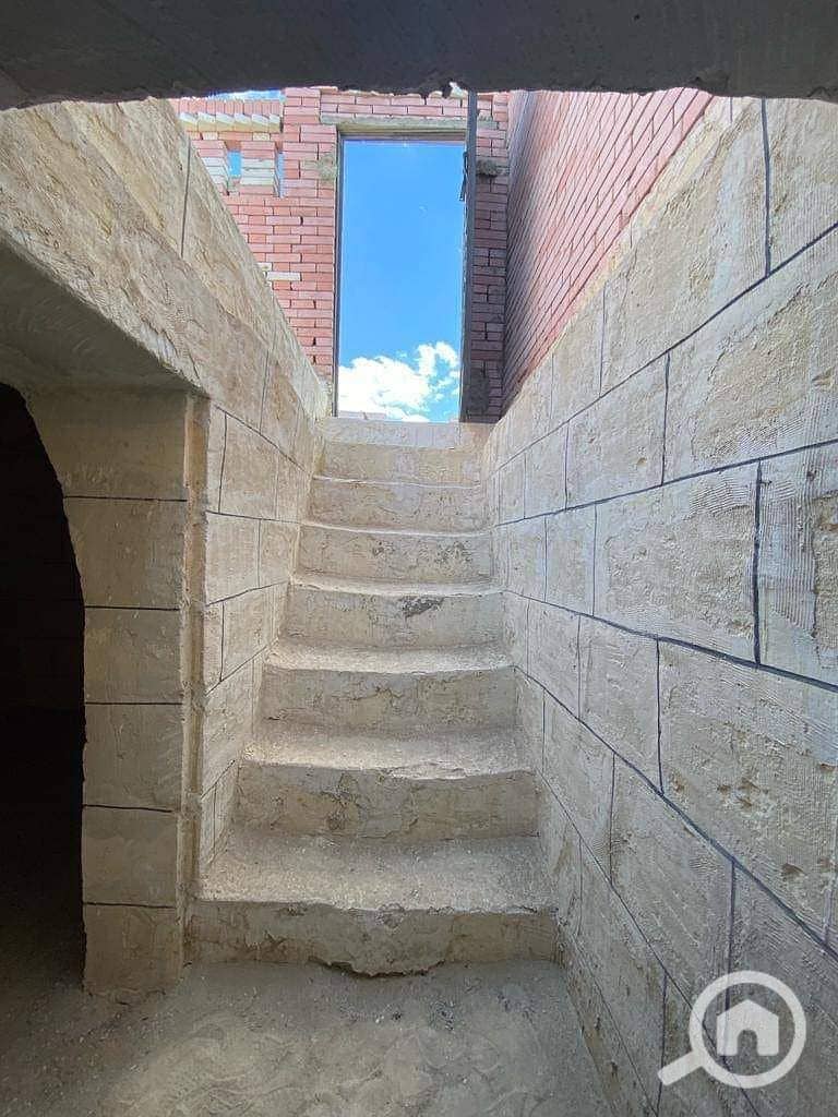 15 1000271065. jpg