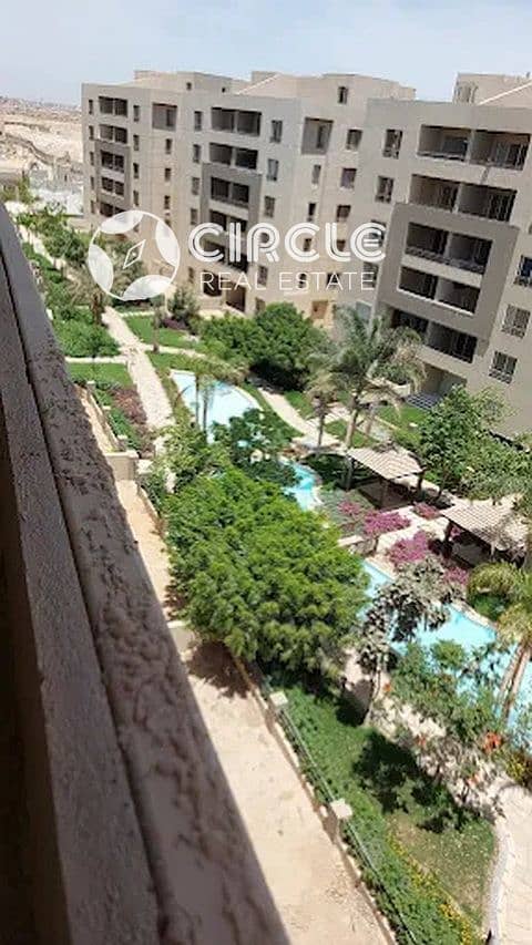 7 Image41. jpg