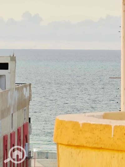 شقة 2 غرفة نوم للبيع في النخيل، الإسكندرية - b7db1109-22e5-43b2-be14-0b27aff40e8a. jpg