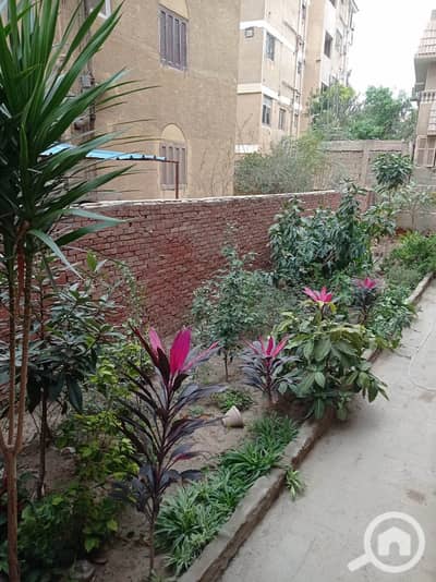 3 Bedroom Apartment for Sale in Helwan, Cairo - 3337382eaa079c462084c36faf6c4e64. jpg 3 Bedroom Apartment for Sale in Helwan, Cairo - 3337382eaa079c462084c36faf6c4e64. jpg