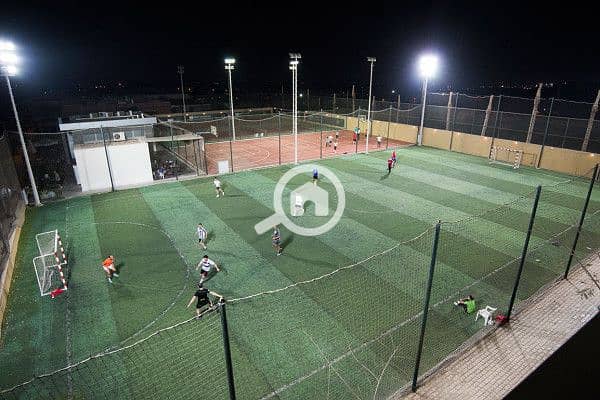 2 9-600x400. jpg