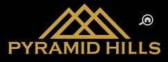 22 pyramid2-new-logo1-2. png