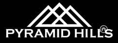 23 pyramid2-new-logo1-Copy-1. png