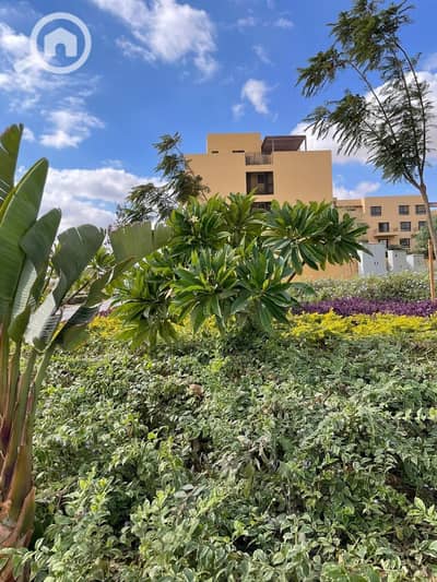 2 Bedroom Flat for Sale in 6th of October, Giza - f70a7b40-5db4-44a2-979b-b1158c1f5871. jpg 2 Bedroom Flat for Sale in 6th of October, Giza - f70a7b40-5db4-44a2-979b-b1158c1f5871. jpg