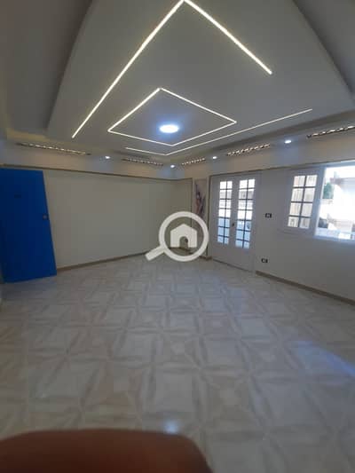 فلیٹ 2 غرفة نوم للبيع في النخيل، الإسكندرية - 1000435767. jpg