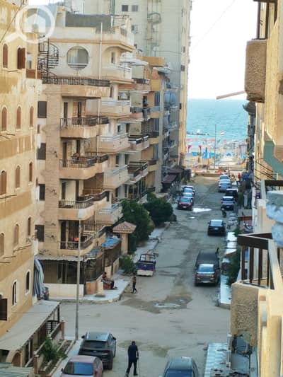فلیٹ 2 غرفة نوم للبيع في النخيل، الإسكندرية - 1000435690. jpg