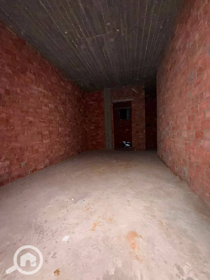 3 1000156786. jpg