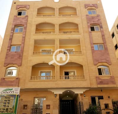 فلیٹ 3 غرف نوم للبيع في القاهرة الجديدة، القاهرة - WhatsApp Image 2026-06-29 at 2.25. 29 PM. jpeg فلیٹ 3 غرف نوم للبيع في القاهرة الجديدة، القاهرة - WhatsApp Image 2026-06-29 at 2.25. 29 PM. jpeg